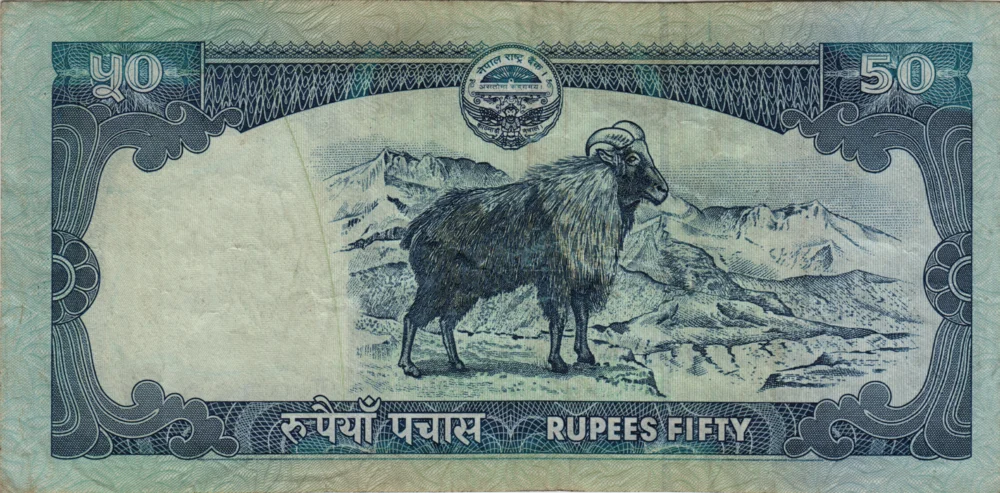 50 Rupees, 2008 Obverse