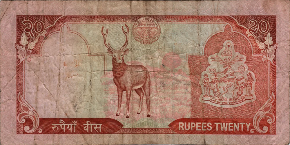 20 Rupees, 1988 Obverse