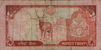 Preview 20 Rupees, 1988 obverse