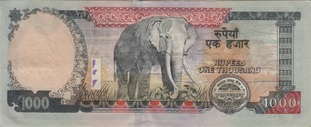 1000 Rupees, 2009 Obverse