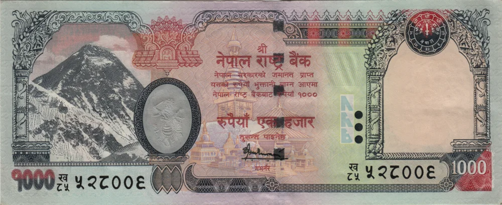 1000 Rupees, 2009 Reverse