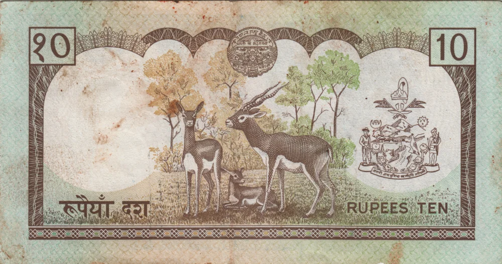10 Rupees, 1988 Obverse