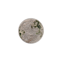 Preview 20 para, ١٣٢٧ (1909) obverse