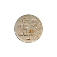 Preview 25000 Liras, 1996 reverse