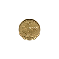 Preview 5000 Liras, 1998 reverse