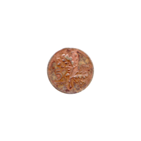 Preview 5 kuruş, 1974 reverse