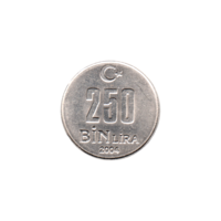 Preview 250000 Liras, 2004 reverse
