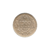 Preview 1000 Liras, 1993 reverse