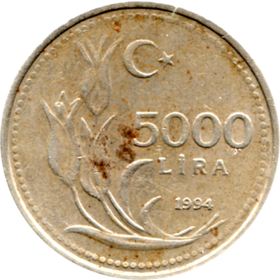 5000 Liras, 1994 Reverse