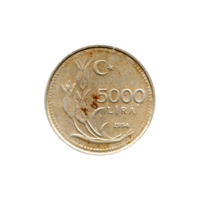 Preview 5000 Liras, 1994 reverse