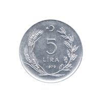 Preview 5 Liras, 1979 reverse