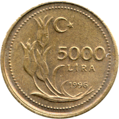 5000 Liras, 1996 Reverse
