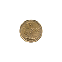 Preview 5000 Liras, 1996 reverse