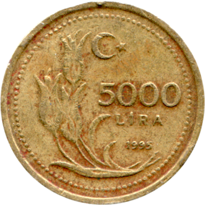5000 Liras, 1995 Reverse
