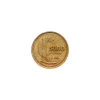 Preview 5000 Liras, 1995 reverse