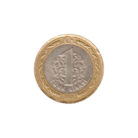 Preview 1 Lira, 2013 reverse