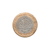Preview 1 Lira, 2012 reverse