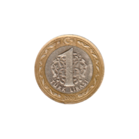 Preview 1 Lira, 2009 reverse