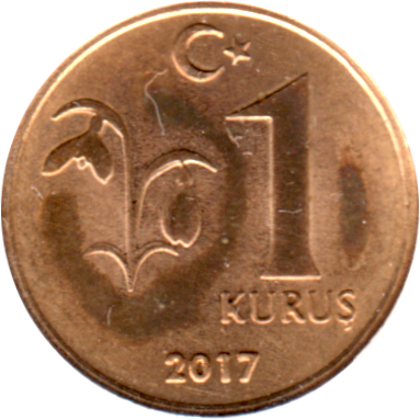 1 kuruş, 2017 Reverse