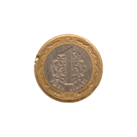 Preview 1 Lira, 2010 reverse