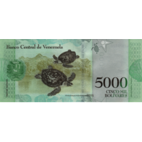 Preview 5000 Bolívares Fuertes, 2017 obverse