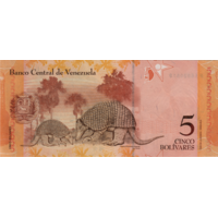 Preview 5 Bolívares Fuertes, 2007 obverse