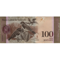 Preview 100 Bolívares Fuertes, 2015 obverse