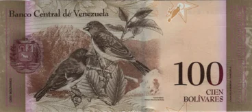Preview 100 Bolívares Fuertes, 2015 obverse