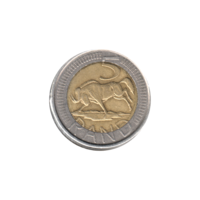 Preview 5 Rand, 2005 reverse